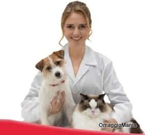 visita dal veterinario: consigli